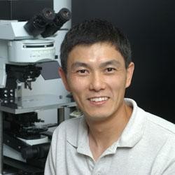 Ling-Gang Wu, NIH